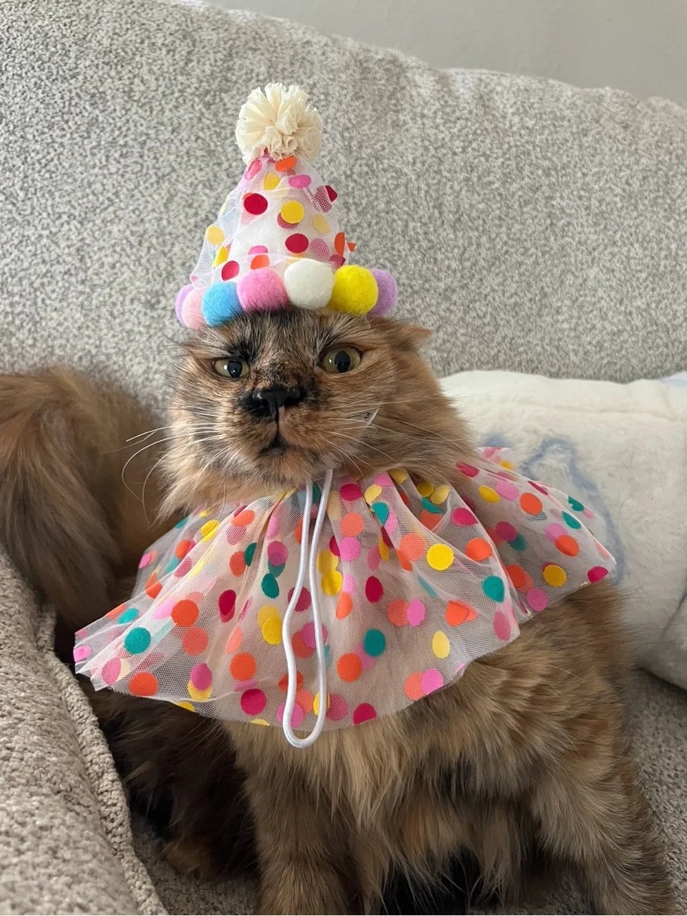 Festive Polka Dot Party Hat & Collar Set for Cats - Multicolor